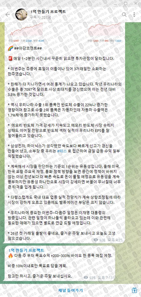이 사진은 담덕법률사무소에서 캡쳐해둔 만들기(VIP) 웹사이트 캡쳐 사진이며 URL은 t.me 입니다.