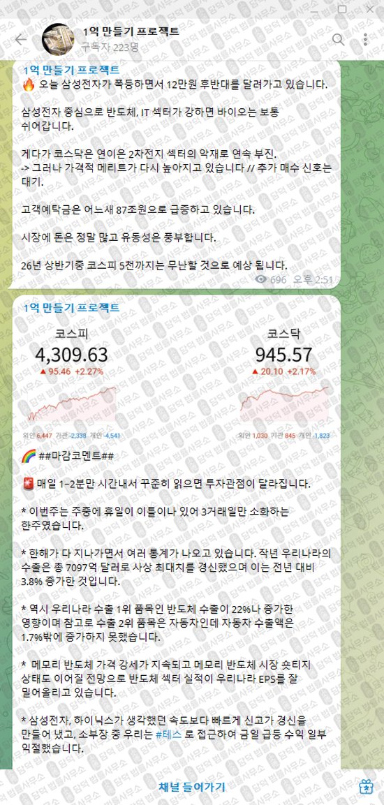 이 사진은 담덕법률사무소에서 캡쳐해둔 만들기(VIP) 웹사이트 캡쳐 사진이며 URL은 t.me 입니다.