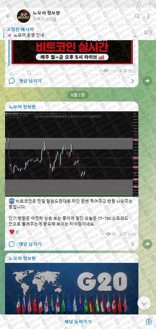 이 사진은 담덕법률사무소에서 캡쳐해둔 노모어(VIP) 웹사이트 캡쳐 사진이며 URL은 t.me 입니다.