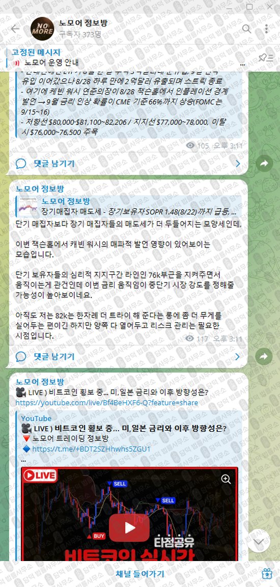 이 사진은 담덕법률사무소에서 캡쳐해둔 노모어(VIP) 웹사이트 캡쳐 사진이며 URL은 t.me 입니다.