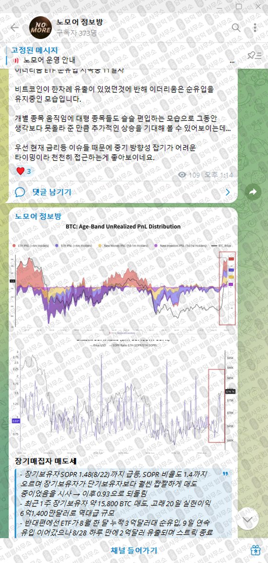 이 사진은 담덕법률사무소에서 캡쳐해둔 노모어(VIP) 웹사이트 캡쳐 사진이며 URL은 t.me 입니다.