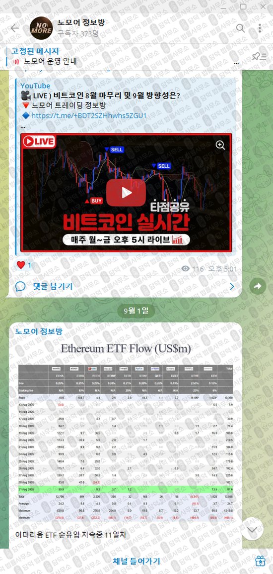 이 사진은 담덕법률사무소에서 캡쳐해둔 노모어(VIP) 웹사이트 캡쳐 사진이며 URL은 t.me 입니다.
