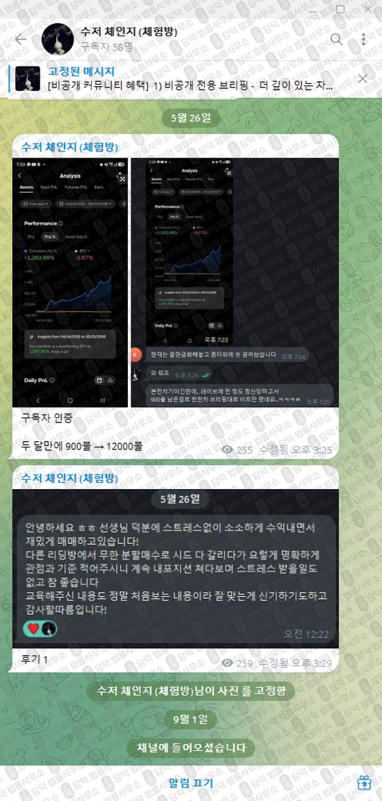 이 사진은 담덕법률사무소에서 캡쳐해둔 수저(VIP) 웹사이트 캡쳐 사진이며 URL은 t.me 입니다.