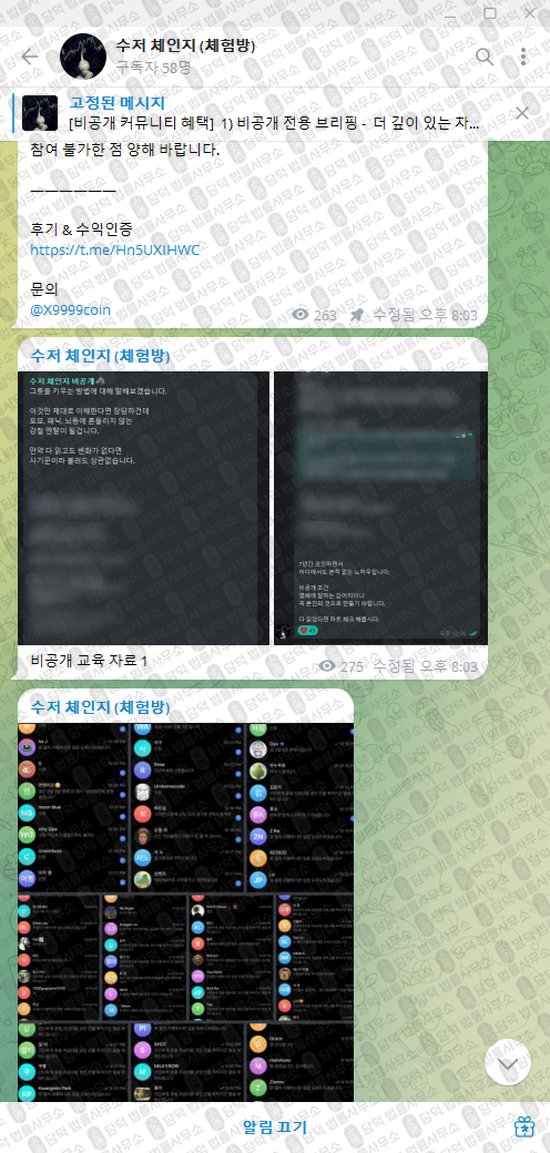 이 사진은 담덕법률사무소에서 캡쳐해둔 수저(VIP) 웹사이트 캡쳐 사진이며 URL은 t.me 입니다.