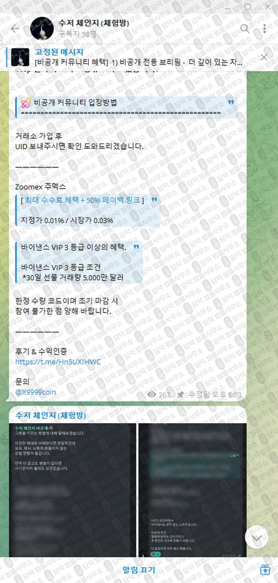 이 사진은 담덕법률사무소에서 캡쳐해둔 수저(VIP) 웹사이트 캡쳐 사진이며 URL은 t.me 입니다.