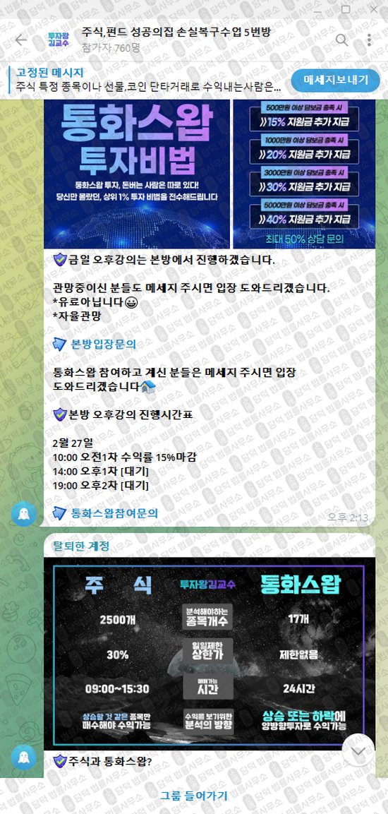 이 사진은 담덕법률사무소에서 캡쳐해둔 투자왕(VIP) 웹사이트 캡쳐 사진이며 URL은 t.me 입니다.