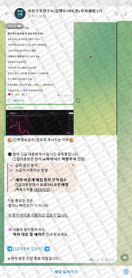 이 사진은 담덕법률사무소에서 캡쳐해둔 자산구조연구소(VIP) 웹사이트 캡쳐 사진이며 URL은 t.me 입니다.