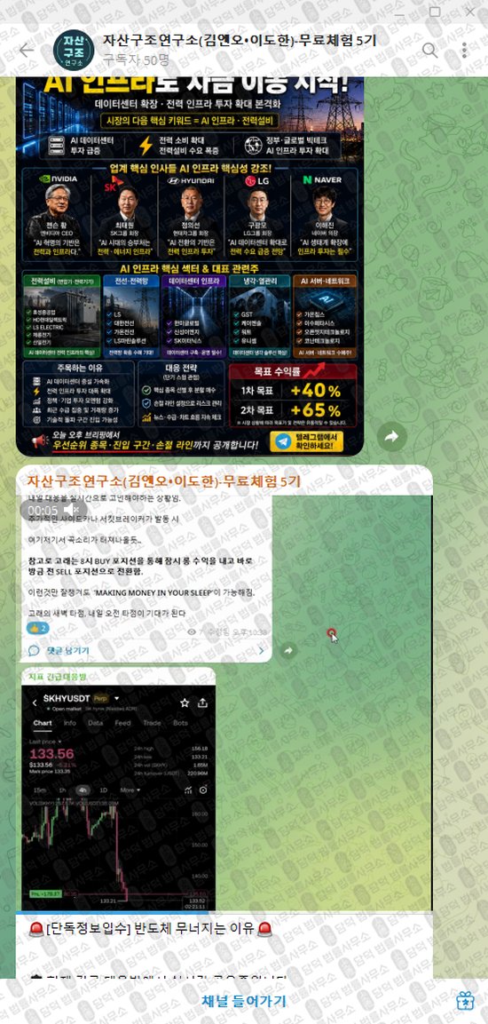 이 사진은 담덕법률사무소에서 캡쳐해둔 자산구조연구소(VIP) 웹사이트 캡쳐 사진이며 URL은 t.me 입니다.