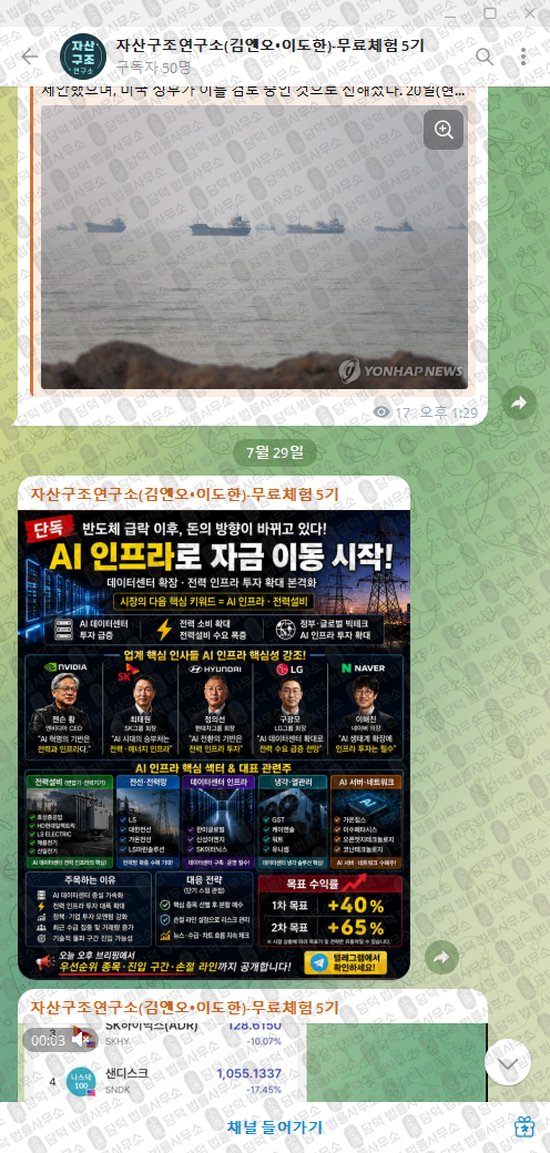 이 사진은 담덕법률사무소에서 캡쳐해둔 자산구조연구소(VIP) 웹사이트 캡쳐 사진이며 URL은 t.me 입니다.