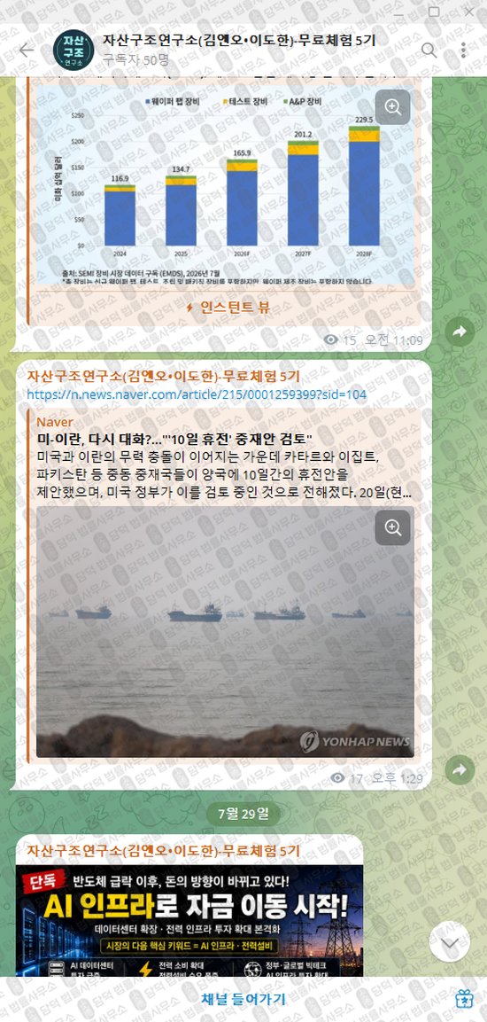 이 사진은 담덕법률사무소에서 캡쳐해둔 자산구조연구소(VIP) 웹사이트 캡쳐 사진이며 URL은 t.me 입니다.