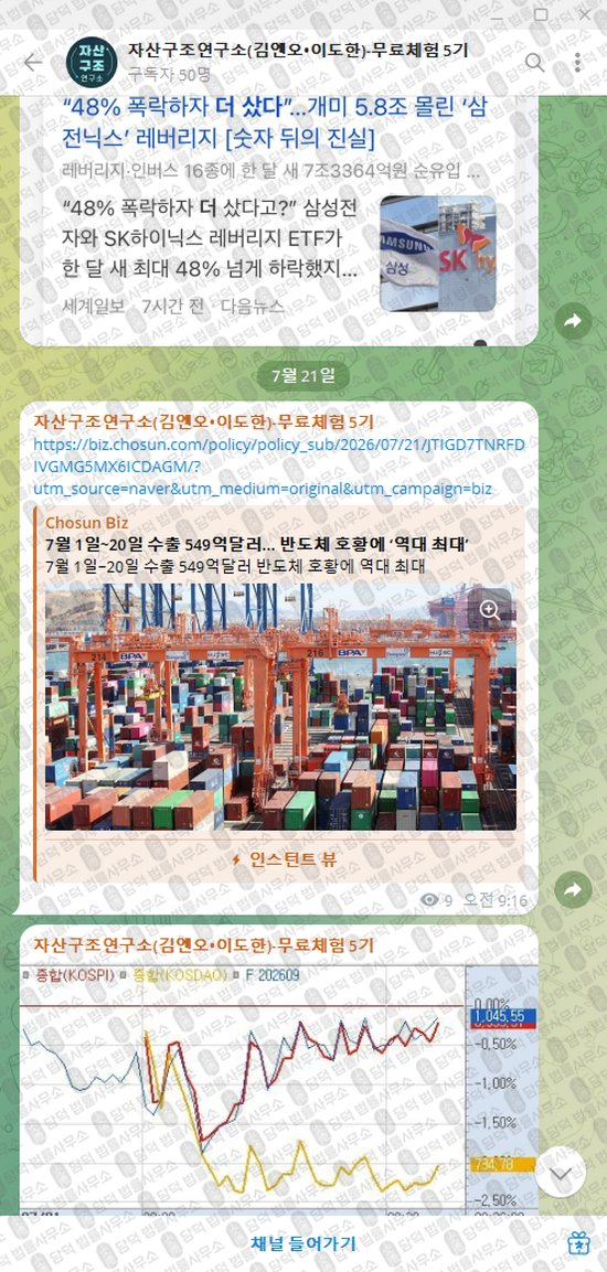 이 사진은 담덕법률사무소에서 캡쳐해둔 자산구조연구소(VIP) 웹사이트 캡쳐 사진이며 URL은 t.me 입니다.