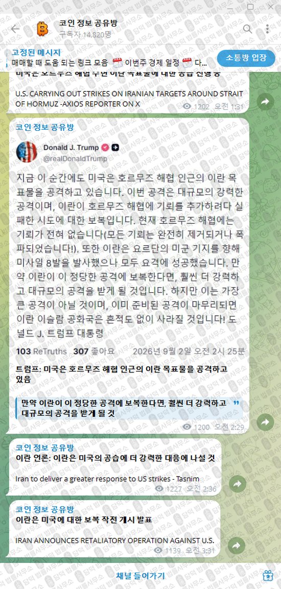이 사진은 담덕법률사무소에서 캡쳐해둔 정보(VIP) 웹사이트 캡쳐 사진이며 URL은 t.me 입니다.