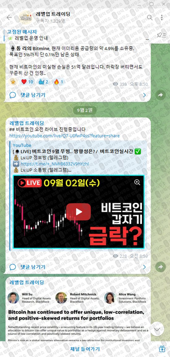 이 사진은 담덕법률사무소에서 캡쳐해둔 레벨업(VIP) 웹사이트 캡쳐 사진이며 URL은 t.me 입니다.