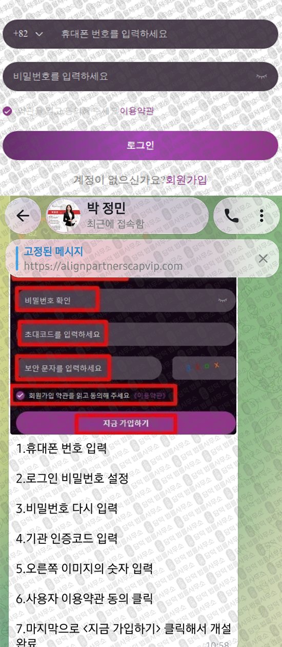 이 사진은 담덕법률사무소에서 캡쳐해둔 사칭(ALIGN PARTNERS) 웹사이트 캡쳐 사진이며 URL은 alibhd.com 입니다.