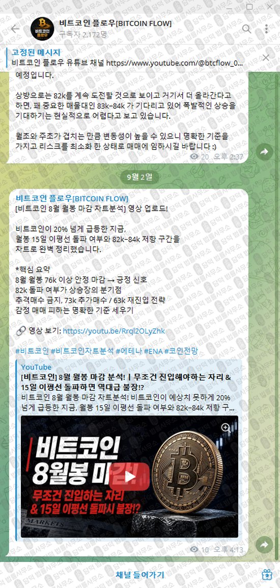 이 사진은 담덕법률사무소에서 캡쳐해둔 비트코인(BITCOIN FLOW) 웹사이트 캡쳐 사진이며 URL은 t.me 입니다.