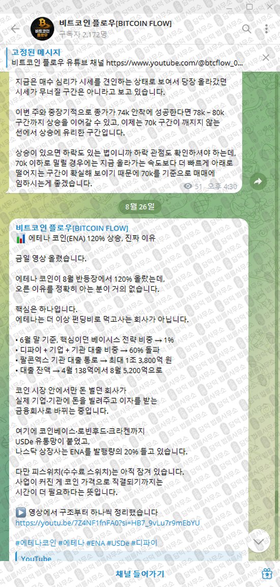 이 사진은 담덕법률사무소에서 캡쳐해둔 비트코인(BITCOIN FLOW) 웹사이트 캡쳐 사진이며 URL은 t.me 입니다.