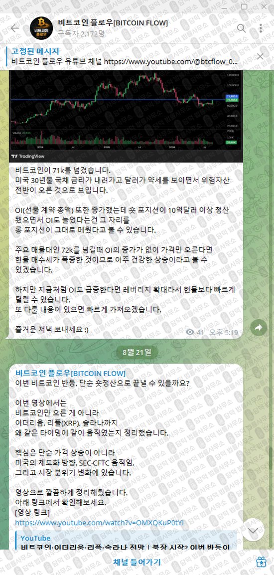 이 사진은 담덕법률사무소에서 캡쳐해둔 비트코인(BITCOIN FLOW) 웹사이트 캡쳐 사진이며 URL은 t.me 입니다.