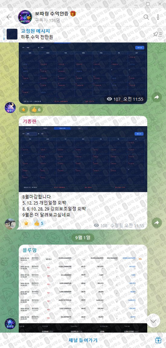 이 사진은 담덕법률사무소에서 캡쳐해둔 보따링(BODDARING) 웹사이트 캡쳐 사진이며 URL은 t.me 입니다.