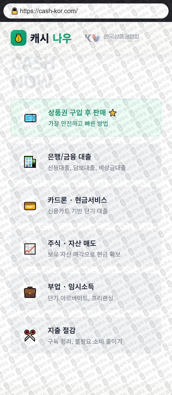 이 사진은 담덕법률사무소에서 캡쳐해둔 캐시나우(PIN) 웹사이트 캡쳐 사진이며 URL은 cash-kor.com 입니다.
