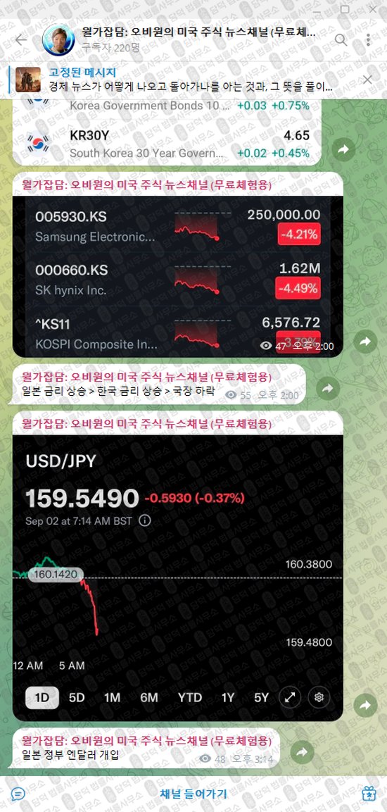이 사진은 담덕법률사무소에서 캡쳐해둔 월가잡담(VIP) 웹사이트 캡쳐 사진이며 URL은 t.me 입니다.