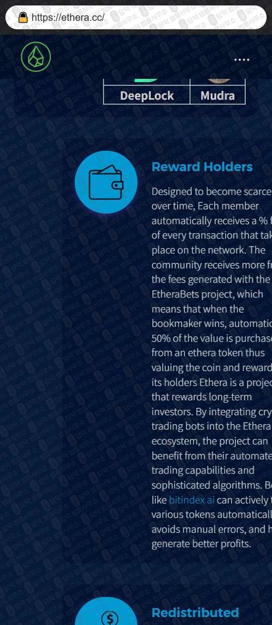 이 사진은 담덕법률사무소에서 캡쳐해둔 토크노믹스(ETHERA) 웹사이트 캡쳐 사진이며 URL은 ethera.cc 입니다.