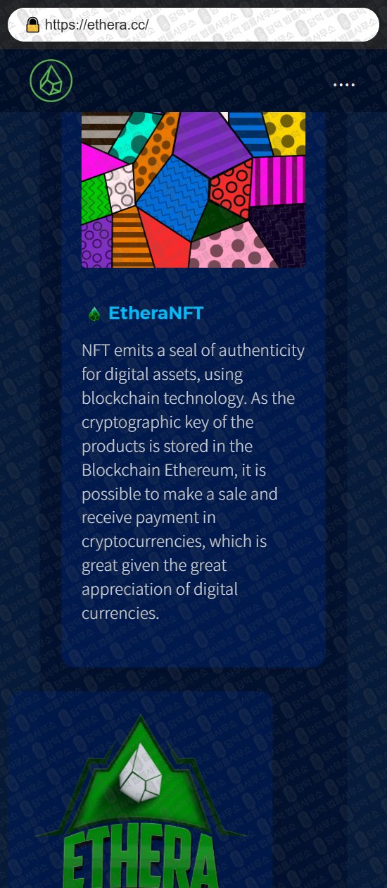 이 사진은 담덕법률사무소에서 캡쳐해둔 토크노믹스(ETHERA) 웹사이트 캡쳐 사진이며 URL은 ethera.cc 입니다.