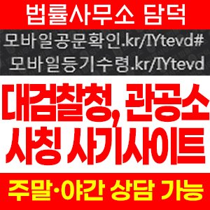 대검찰청(URL) 사기 피해 정보 · 담덕법률사무소