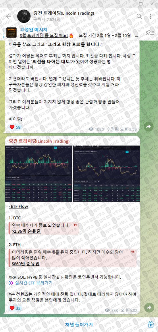 이 사진은 담덕법률사무소에서 캡쳐해둔 링컨(Lincoln Trading) 웹사이트 캡쳐 사진이며 URL은 t.me 입니다.