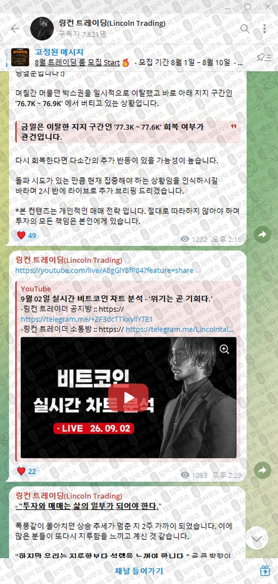 이 사진은 담덕법률사무소에서 캡쳐해둔 링컨(Lincoln Trading) 웹사이트 캡쳐 사진이며 URL은 t.me 입니다.