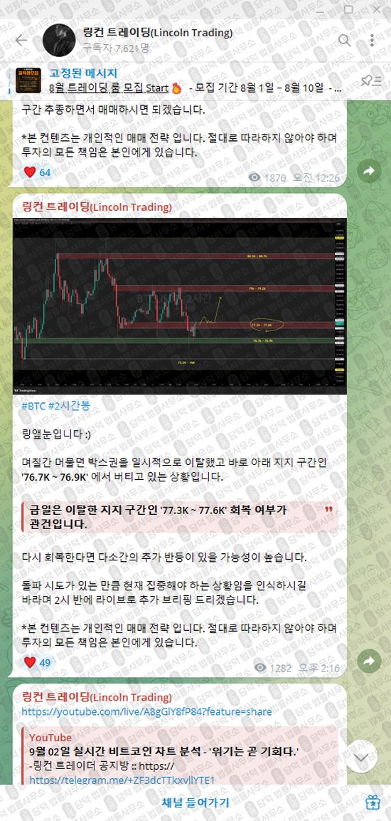 이 사진은 담덕법률사무소에서 캡쳐해둔 링컨(Lincoln Trading) 웹사이트 캡쳐 사진이며 URL은 t.me 입니다.