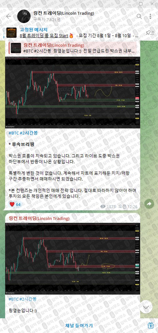 이 사진은 담덕법률사무소에서 캡쳐해둔 링컨(Lincoln Trading) 웹사이트 캡쳐 사진이며 URL은 t.me 입니다.