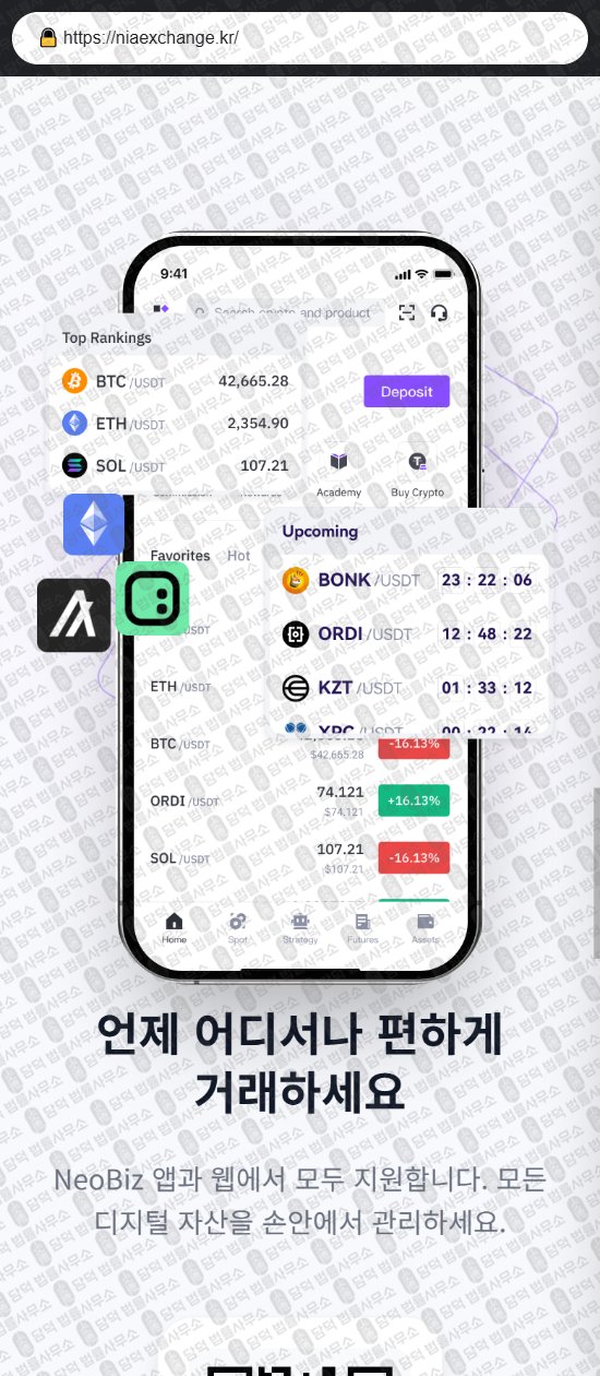 이 사진은 담덕법률사무소에서 캡쳐해둔 사칭(NeoBiz) 웹사이트 캡쳐 사진이며 URL은 niaexchange.kr 입니다.