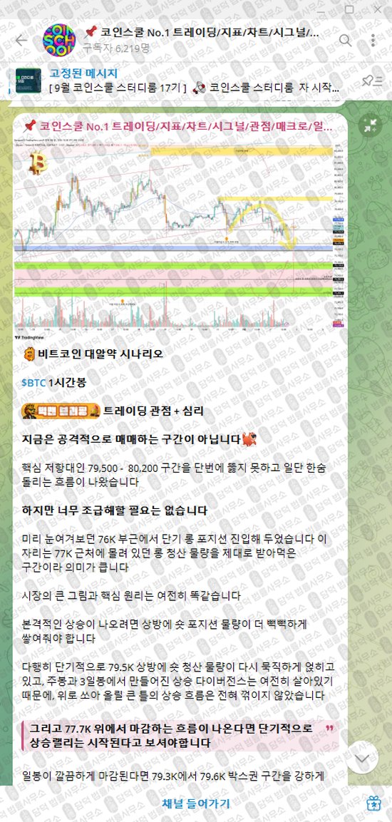 이 사진은 담덕법률사무소에서 캡쳐해둔 코인스쿨(No) 웹사이트 캡쳐 사진이며 URL은 t.me 입니다.