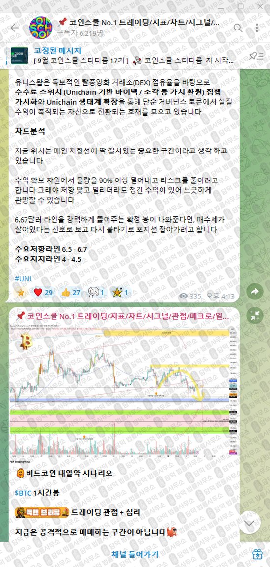 이 사진은 담덕법률사무소에서 캡쳐해둔 코인스쿨(No) 웹사이트 캡쳐 사진이며 URL은 t.me 입니다.