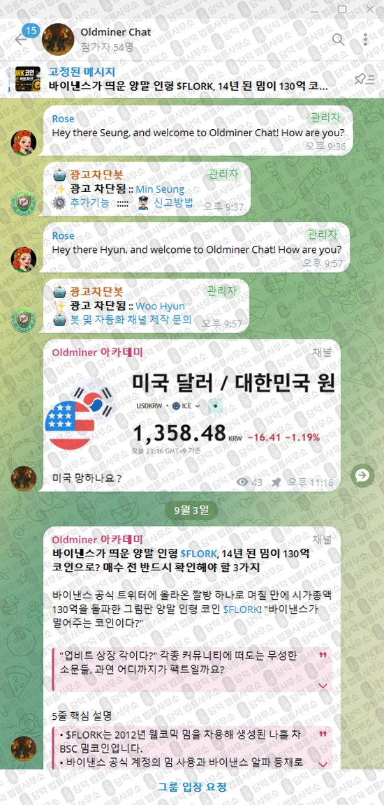 이 사진은 담덕법률사무소에서 캡쳐해둔 올드마이너(Oldminer Chat) 웹사이트 캡쳐 사진이며 URL은 t.me 입니다.