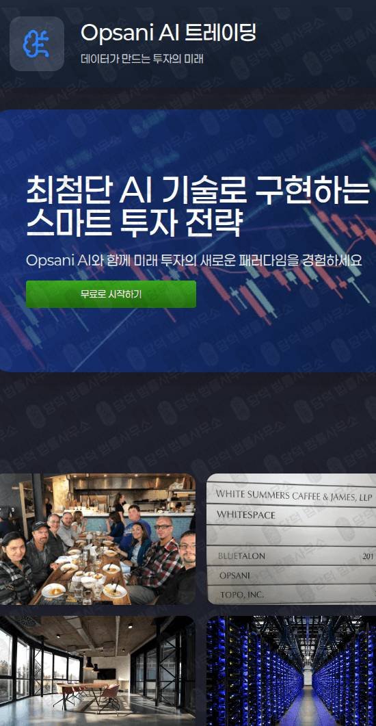 이 사진은 담덕법률사무소에서 캡쳐해둔 사기경보(Opsani) 웹사이트 캡쳐 사진이며 URL은 odafast.com 입니다.