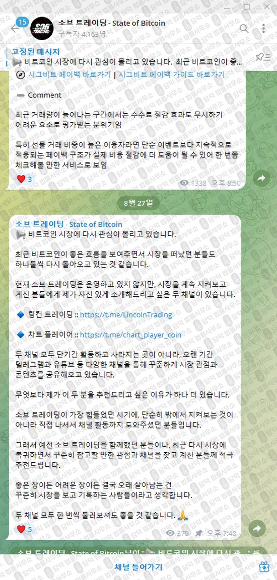 이 사진은 담덕법률사무소에서 캡쳐해둔 소브(State) 웹사이트 캡쳐 사진이며 URL은 t.me 입니다.