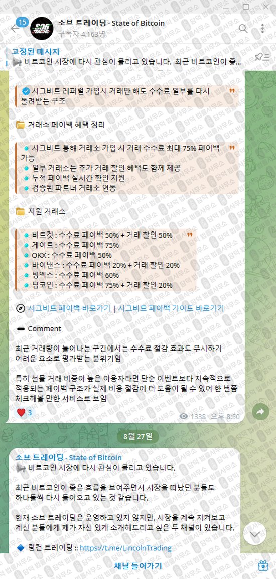 이 사진은 담덕법률사무소에서 캡쳐해둔 소브(State) 웹사이트 캡쳐 사진이며 URL은 t.me 입니다.