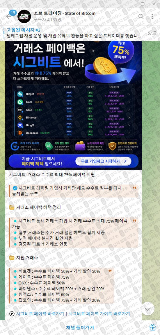 이 사진은 담덕법률사무소에서 캡쳐해둔 소브(State) 웹사이트 캡쳐 사진이며 URL은 t.me 입니다.