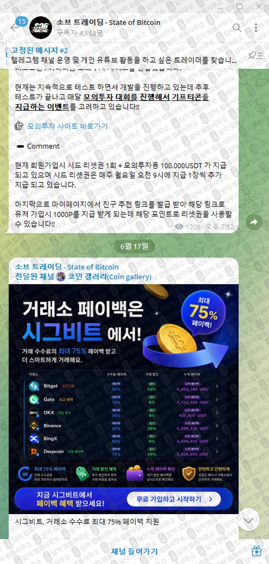 이 사진은 담덕법률사무소에서 캡쳐해둔 소브(State) 웹사이트 캡쳐 사진이며 URL은 t.me 입니다.