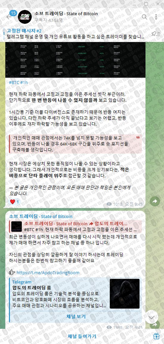 이 사진은 담덕법률사무소에서 캡쳐해둔 소브(State) 웹사이트 캡쳐 사진이며 URL은 t.me 입니다.