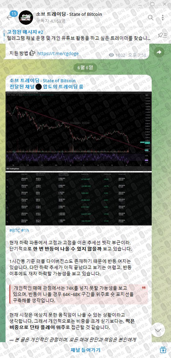 이 사진은 담덕법률사무소에서 캡쳐해둔 소브(State) 웹사이트 캡쳐 사진이며 URL은 t.me 입니다.
