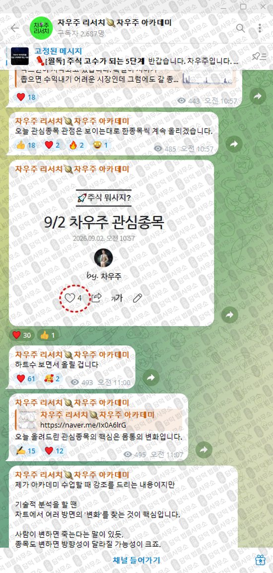 이 사진은 담덕법률사무소에서 캡쳐해둔 차우주(VIP) 웹사이트 캡쳐 사진이며 URL은 t.me 입니다.