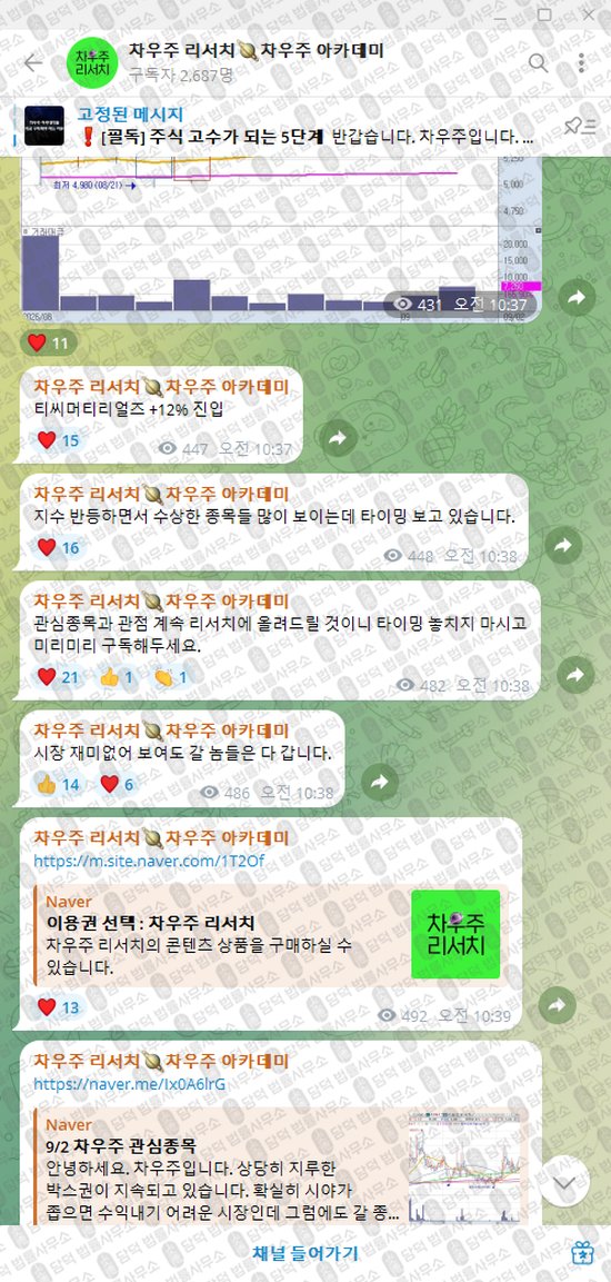 이 사진은 담덕법률사무소에서 캡쳐해둔 차우주(VIP) 웹사이트 캡쳐 사진이며 URL은 t.me 입니다.