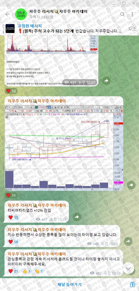 이 사진은 담덕법률사무소에서 캡쳐해둔 차우주(VIP) 웹사이트 캡쳐 사진이며 URL은 t.me 입니다.
