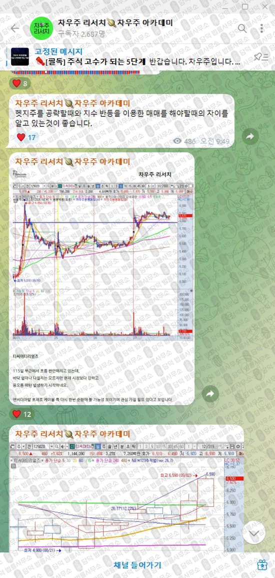 이 사진은 담덕법률사무소에서 캡쳐해둔 차우주(VIP) 웹사이트 캡쳐 사진이며 URL은 t.me 입니다.