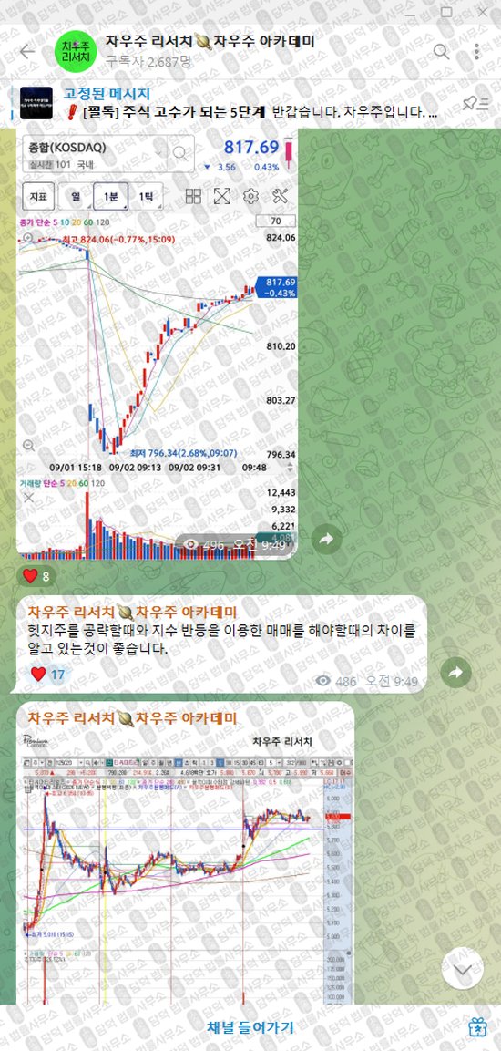 이 사진은 담덕법률사무소에서 캡쳐해둔 차우주(VIP) 웹사이트 캡쳐 사진이며 URL은 t.me 입니다.