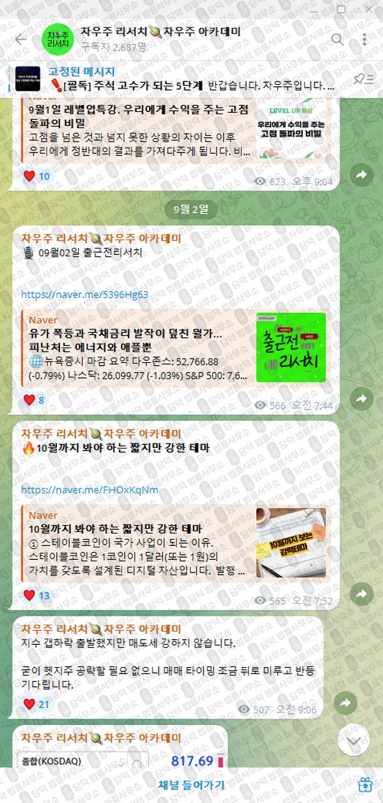 이 사진은 담덕법률사무소에서 캡쳐해둔 차우주(VIP) 웹사이트 캡쳐 사진이며 URL은 t.me 입니다.