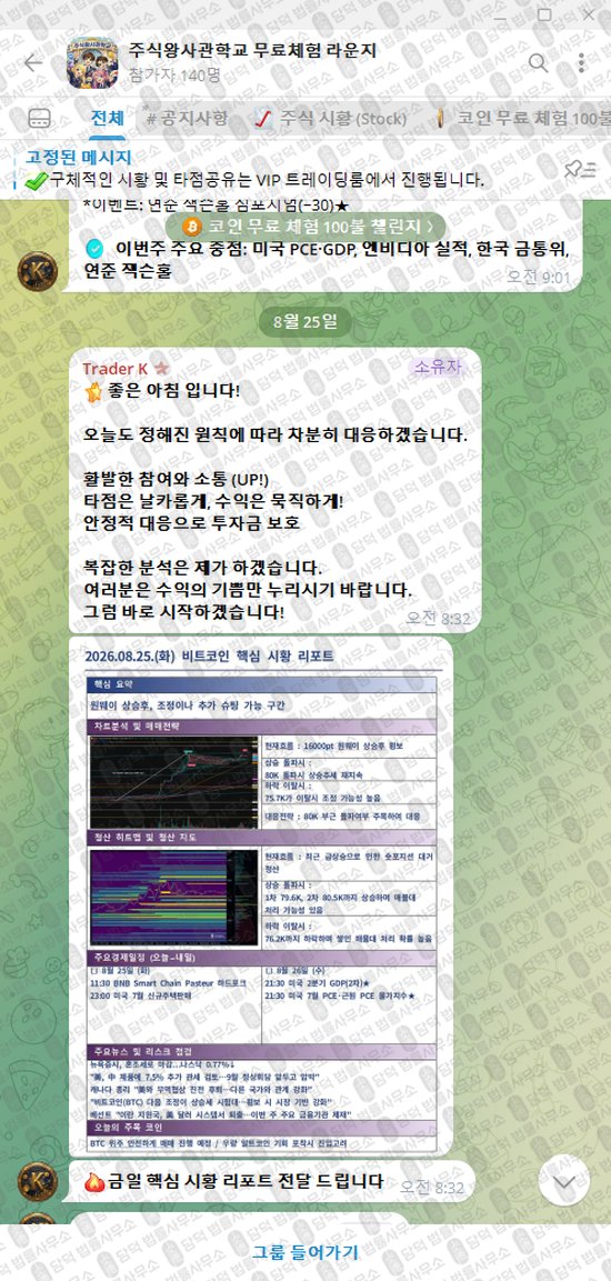 이 사진은 담덕법률사무소에서 캡쳐해둔 주식왕사관학교(VIP) 웹사이트 캡쳐 사진이며 URL은 t.me 입니다.