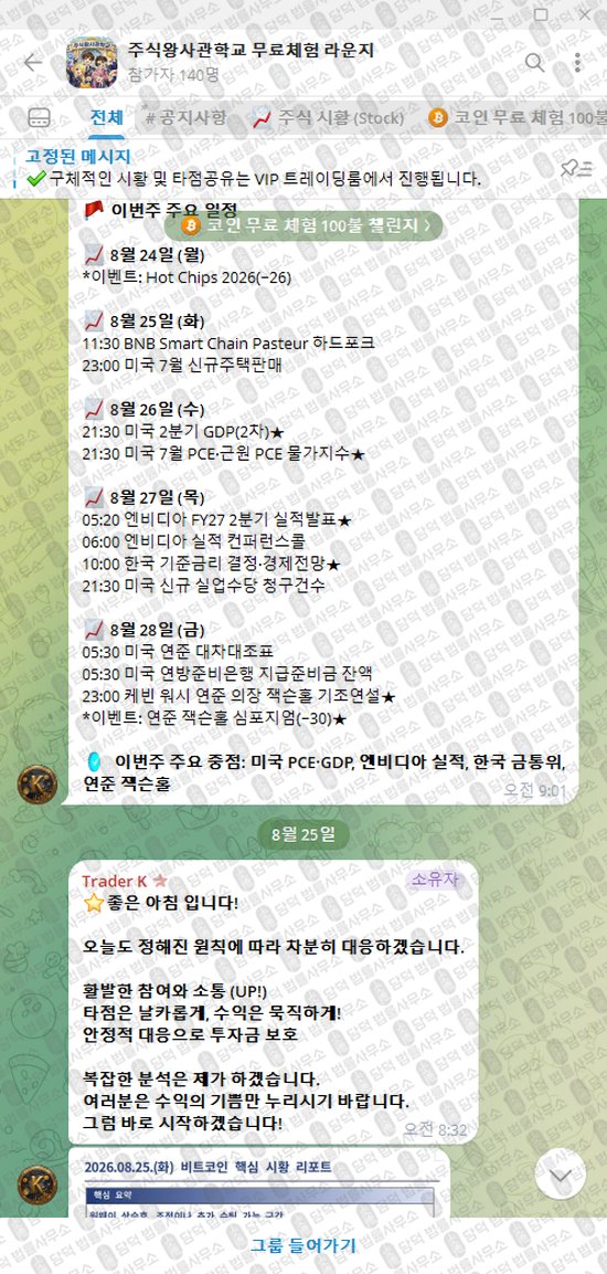 이 사진은 담덕법률사무소에서 캡쳐해둔 주식왕사관학교(VIP) 웹사이트 캡쳐 사진이며 URL은 t.me 입니다.